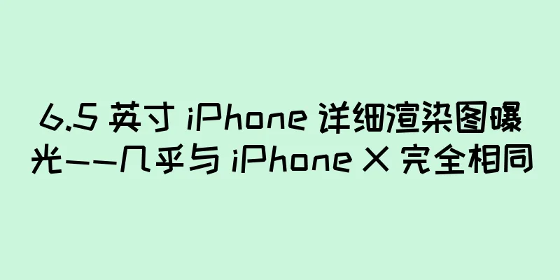 6.5 英寸 iPhone 详细渲染图曝光——几乎与 iPhone X 完全相同