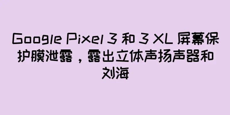Google Pixel 3 和 3 XL 屏幕保护膜泄露，露出立体声扬声器和刘海