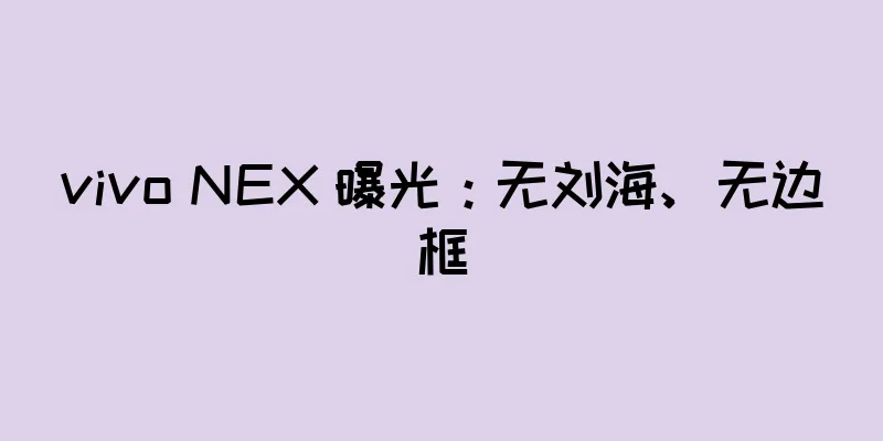 vivo NEX 曝光：无刘海、无边框