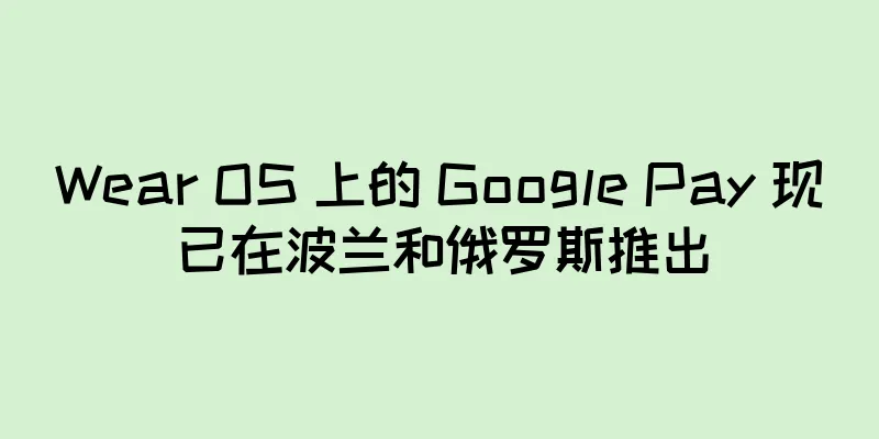 Wear OS 上的 Google Pay 现已在波兰和俄罗斯推出