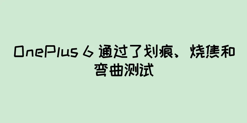 OnePlus 6 通过了划痕、烧焦和弯曲测试