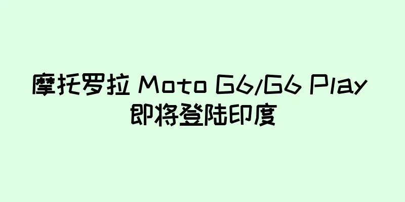 摩托罗拉 Moto G6/G6 Play 即将登陆印度