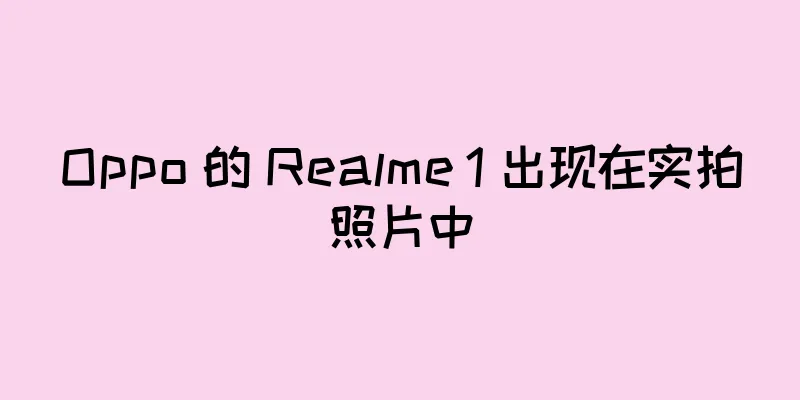 Oppo 的 Realme 1 出现在实拍照片中