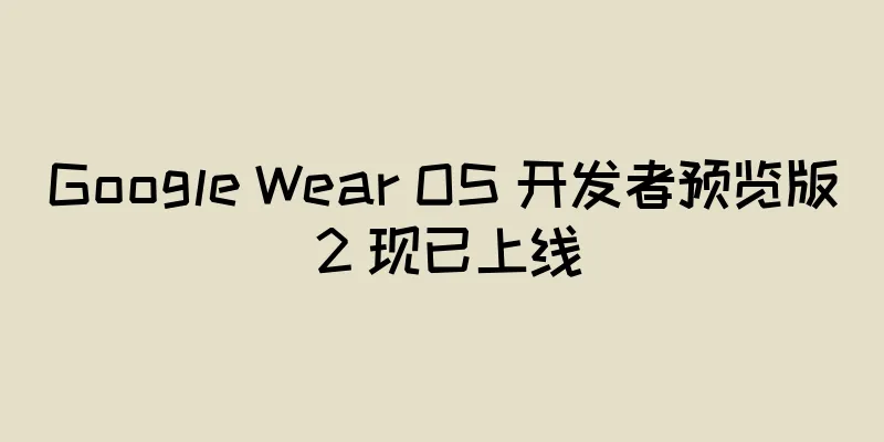 Google Wear OS 开发者预览版 2 现已上线