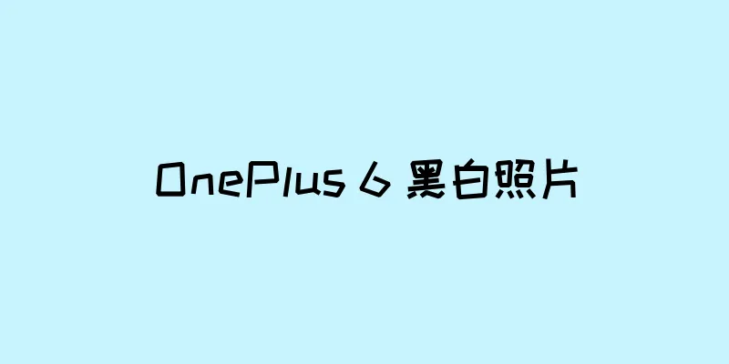 OnePlus 6 黑白照片