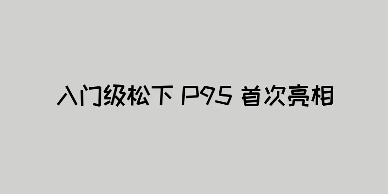 入门级松下 P95 首次亮相