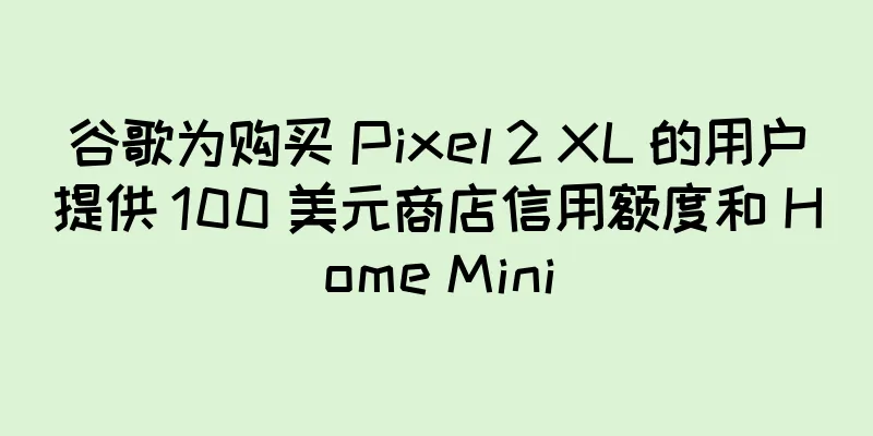 谷歌为购买 Pixel 2 XL 的用户提供 100 美元商店信用额度和 Home Mini