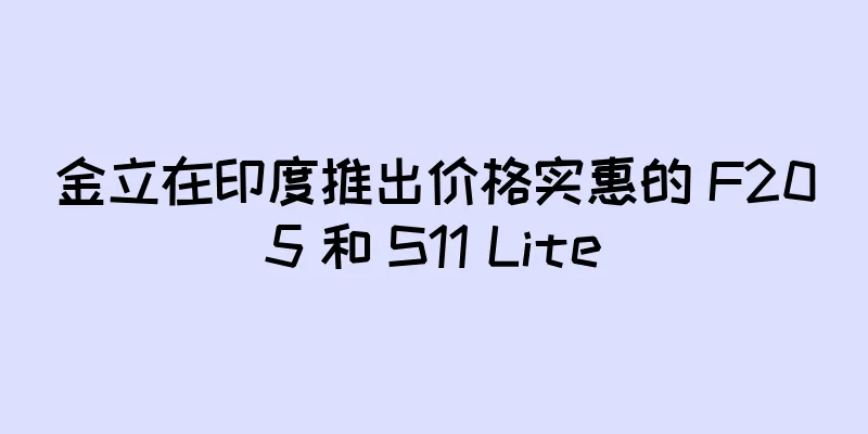 金立在印度推出价格实惠的 F205 和 S11 Lite