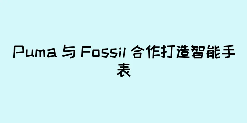 Puma 与 Fossil 合作打造智能手表