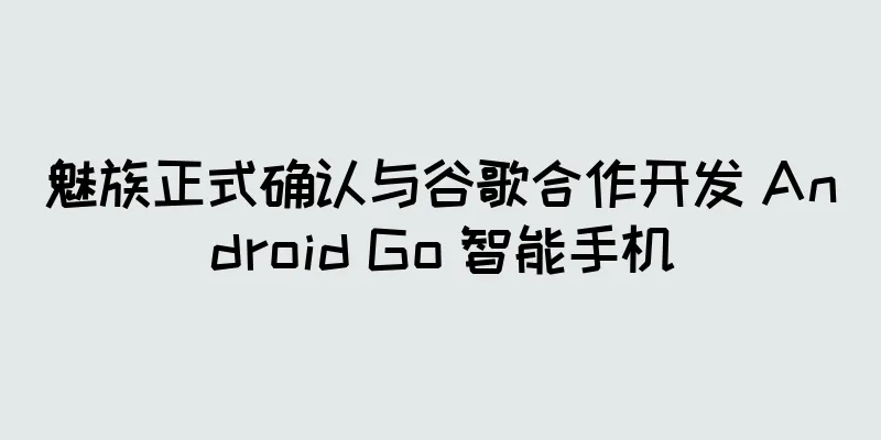 魅族正式确认与谷歌合作开发 Android Go 智能手机