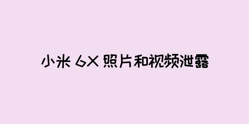 小米 6X 照片和视频泄露