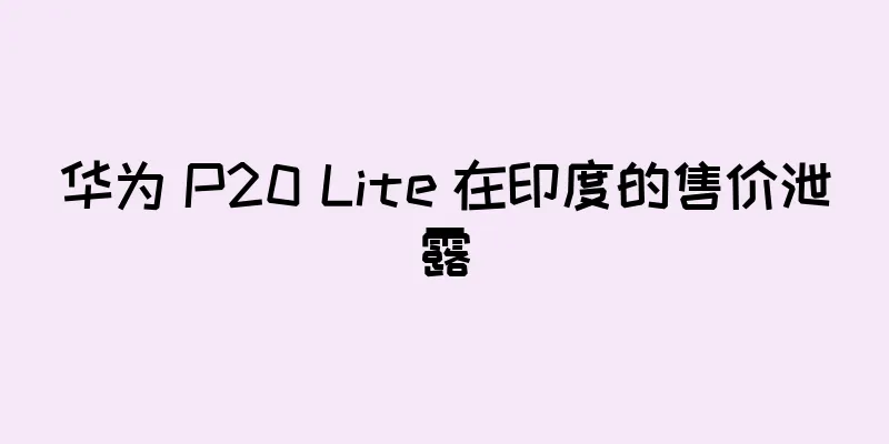 华为 P20 Lite 在印度的售价泄露