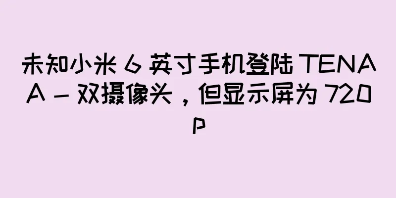 未知小米 6 英寸手机登陆 TENAA - 双摄像头，但显示屏为 720p