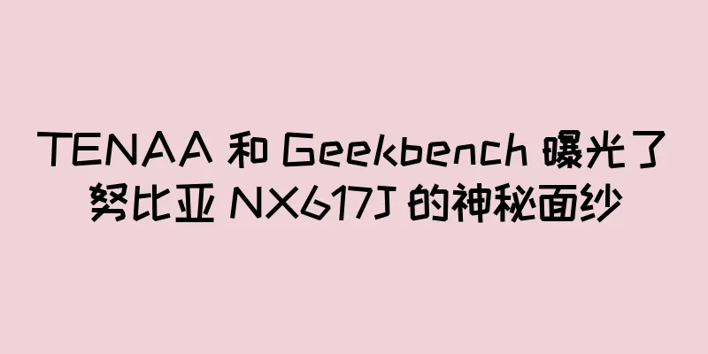 TENAA 和 Geekbench 曝光了努比亚 NX617J 的神秘面纱