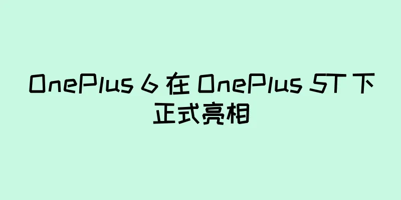 OnePlus 6 在 OnePlus 5T 下正式亮相
