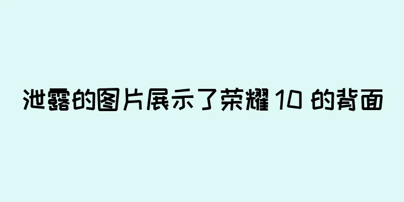 泄露的图片展示了荣耀 10 的背面