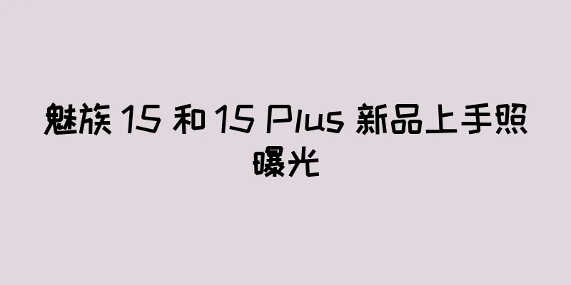 魅族 15 和 15 Plus 新品上手照曝光