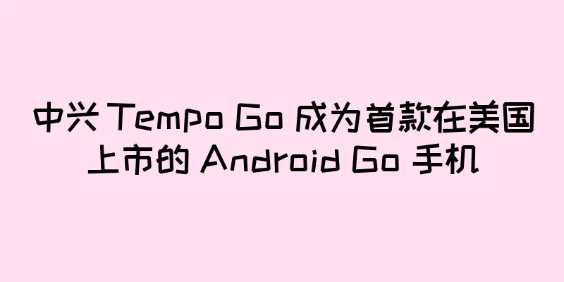 中兴 Tempo Go 成为首款在美国上市的 Android Go 手机