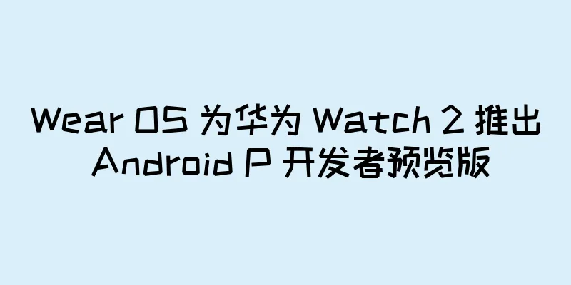 Wear OS 为华为 Watch 2 推出 Android P 开发者预览版