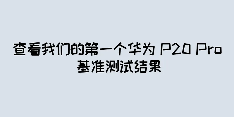 查看我们的第一个华为 P20 Pro 基准测试结果