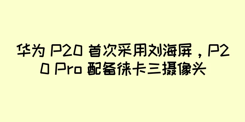 华为 P20 首次采用刘海屏，P20 Pro 配备徕卡三摄像头