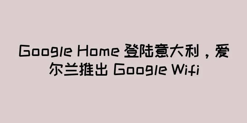 Google Home 登陆意大利，爱尔兰推出 Google Wifi
