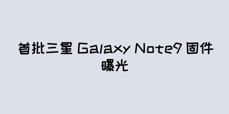首批三星 Galaxy Note9 固件曝光
