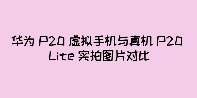 华为 P20 虚拟手机与真机 P20 Lite 实拍图片对比