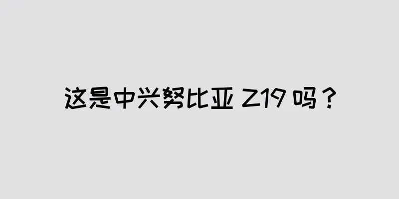 这是中兴努比亚 Z19 吗？