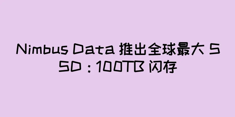 Nimbus Data 推出全球最大 SSD：100TB 闪存