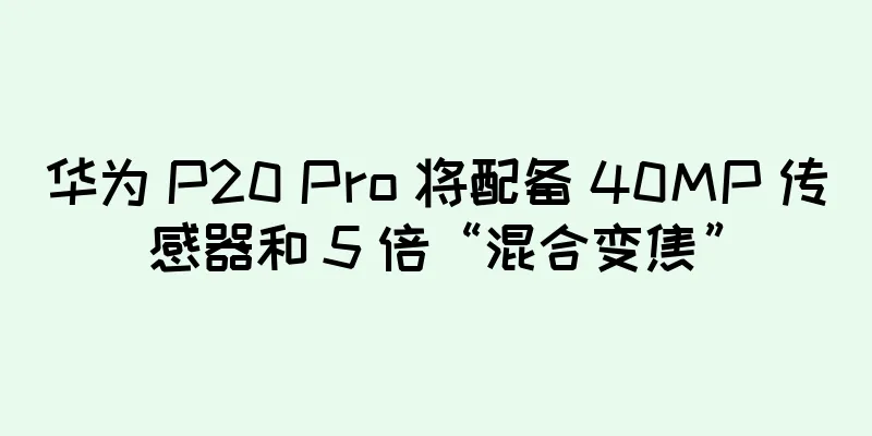 华为 P20 Pro 将配备 40MP 传感器和 5 倍“混合变焦”