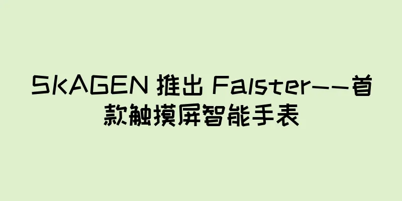 SKAGEN 推出 Falster——首款触摸屏智能手表