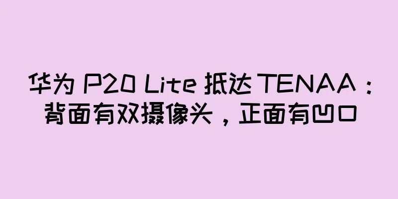 华为 P20 Lite 抵达 TENAA：背面有双摄像头，正面有凹口