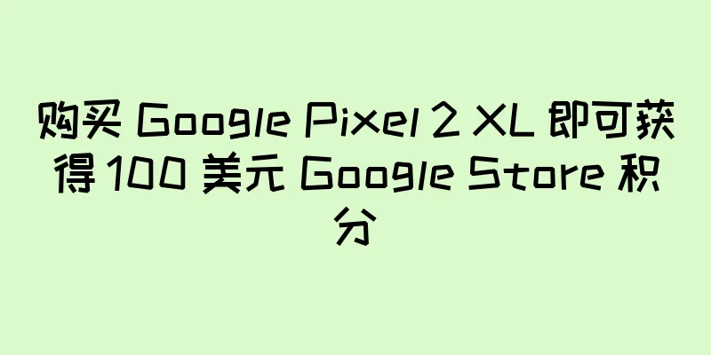 购买 Google Pixel 2 XL 即可获得 100 美元 Google Store 积分