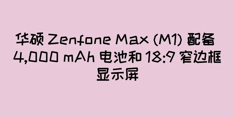 华硕 Zenfone Max (M1) 配备 4,000 mAh 电池和 18:9 窄边框显示屏