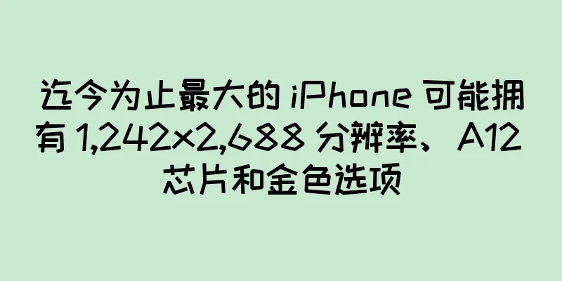 迄今为止最大的 iPhone 可能拥有 1,242x2,688 分辨率、A12 芯片和金色选项