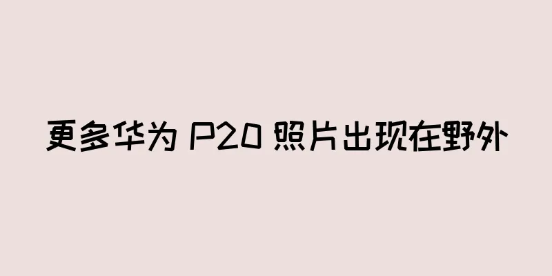 更多华为 P20 照片出现在野外