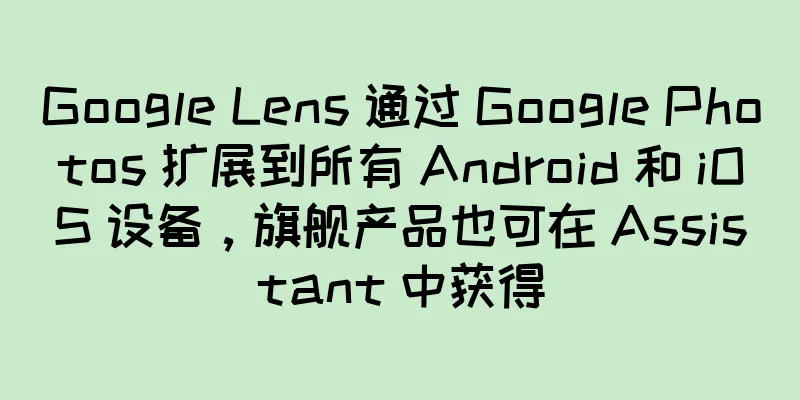 Google Lens 通过 Google Photos 扩展到所有 Android 和 iOS 设备，旗舰产品也可在 Assistant 中获得