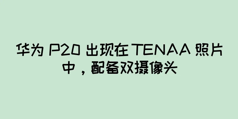 华为 P20 出现在 TENAA 照片中，配备双摄像头