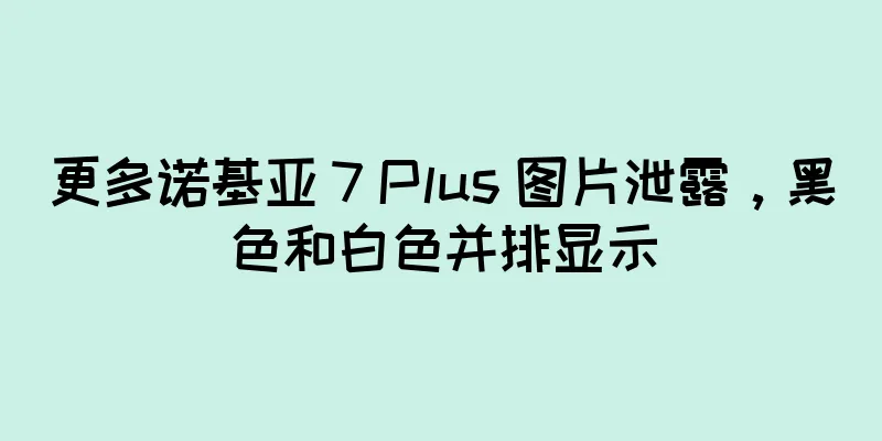 更多诺基亚 7 Plus 图片泄露，黑色和白色并排显示