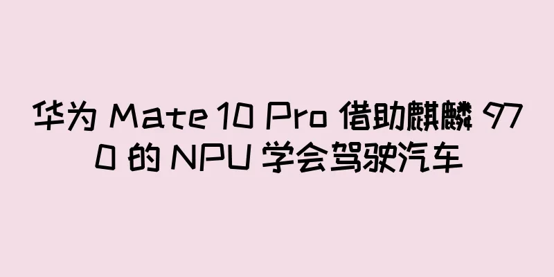 华为 Mate 10 Pro 借助麒麟 970 的 NPU 学会驾驶汽车