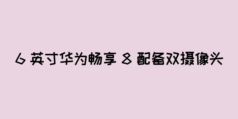 6 英寸华为畅享 8 配备双摄像头