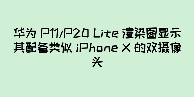 华为 P11/P20 Lite 渲染图显示其配备类似 iPhone X 的双摄像头