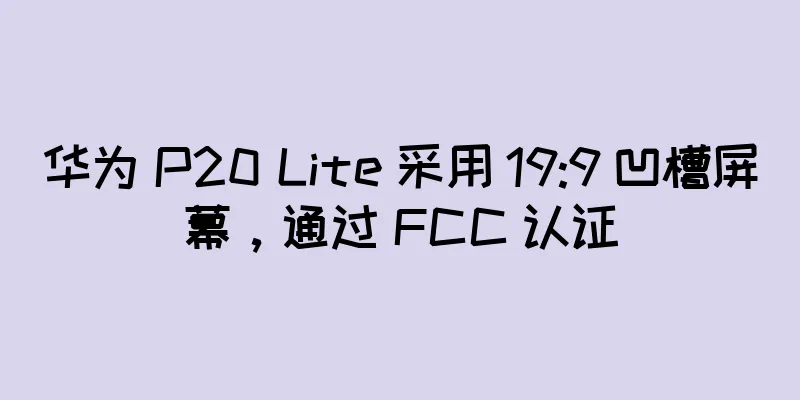 华为 P20 Lite 采用 19:9 凹槽屏幕，通过 FCC 认证