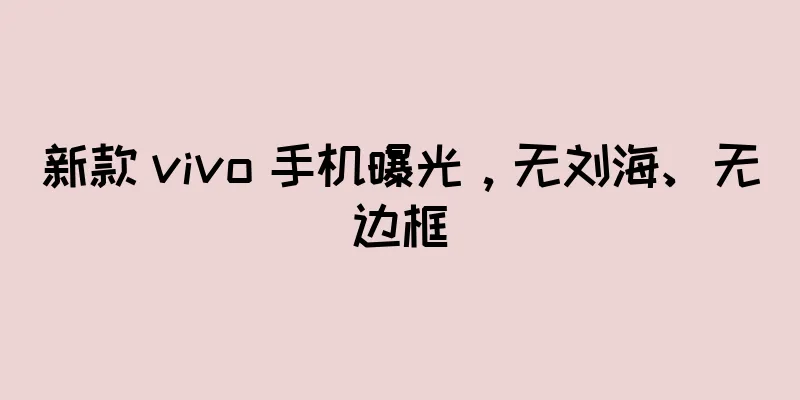 新款 vivo 手机曝光，无刘海、无边框