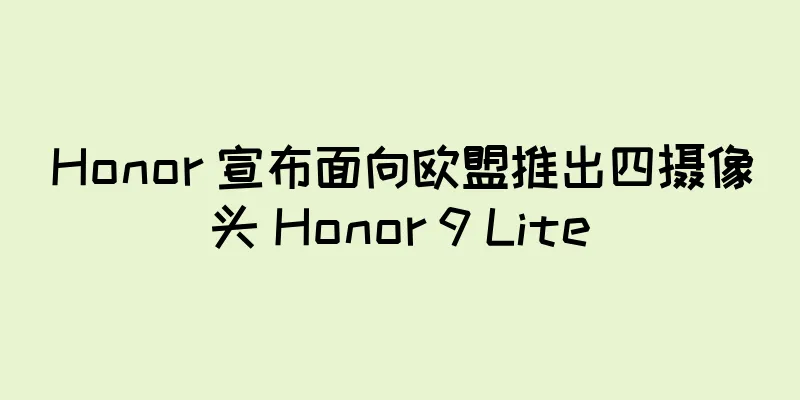 Honor 宣布面向欧盟推出四摄像头 Honor 9 Lite