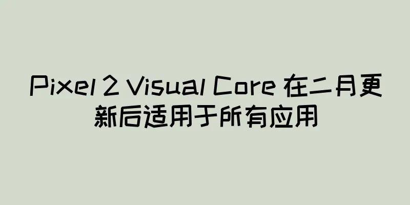 Pixel 2 Visual Core 在二月更新后适用于所有应用