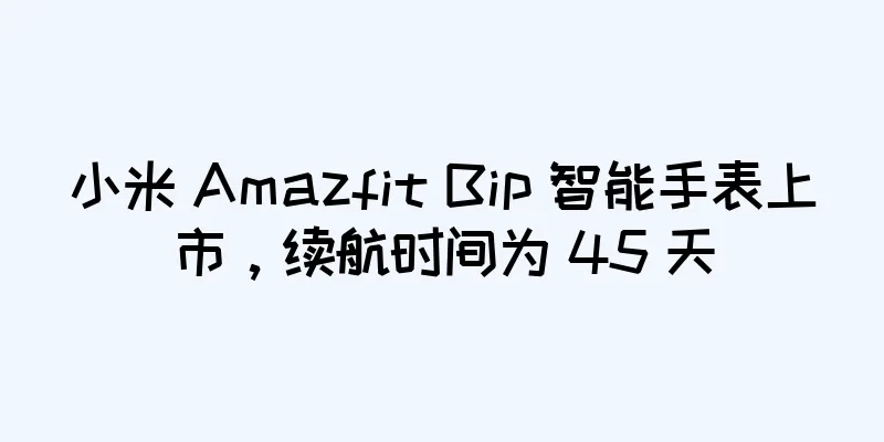小米 Amazfit Bip 智能手表上市，续航时间为 45 天