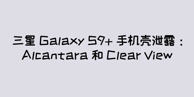 三星 Galaxy S9+ 手机壳泄露：Alcantara 和 Clear View