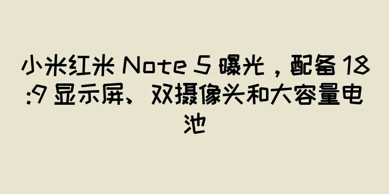 小米红米 Note 5 曝光，配备 18:9 显示屏、双摄像头和大容量电池
